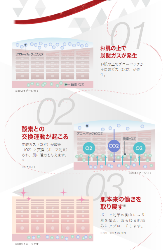 エニシーグローパック ※2021年7月購入の+spbgp44.ru